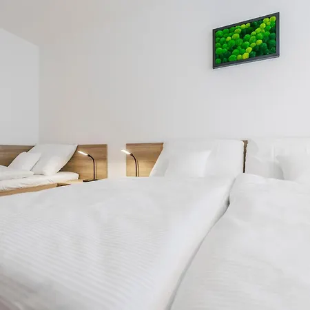 Mia Apartment Dolni Morava